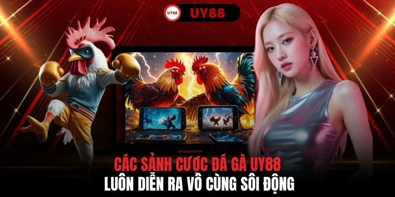 Các sảnh cược đá gà UY88 luôn diễn ra vô cùng sôi động